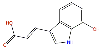 7-Hydroxy-3-(1H-Indol-3-yl)-acrylic acid